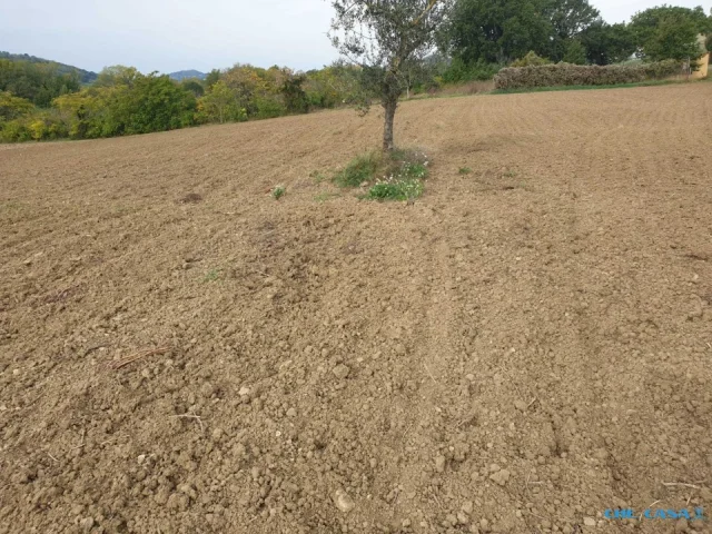 Appartamenti in Vendita - Rudere indipendente