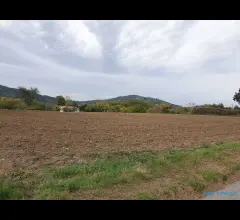 Appartamenti in Vendita - Rudere indipendente