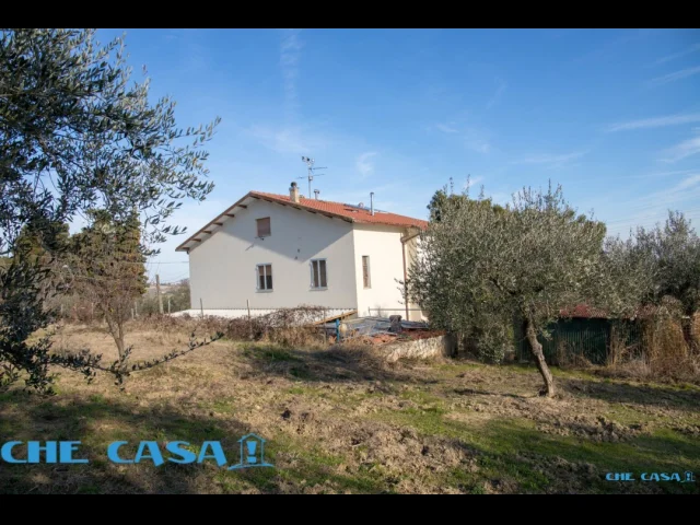 Appartamenti in Vendita - Casa indipendente con ampio uliveto