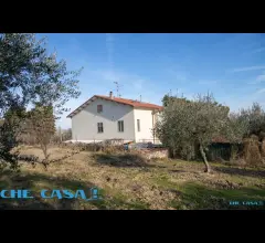 Appartamenti in Vendita - Casa indipendente con ampio uliveto