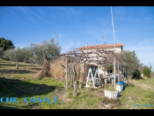 Appartamenti in Vendita - Casa indipendente con ampio uliveto