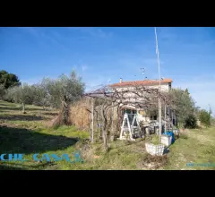 Appartamenti in Vendita - Casa indipendente con ampio uliveto