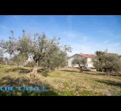 Appartamenti in Vendita - Casa indipendente con ampio uliveto
