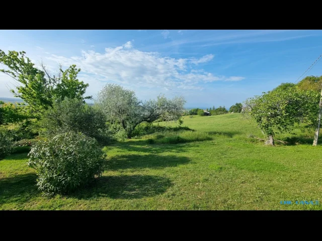 Appartamenti in Vendita - Terreno edificabile