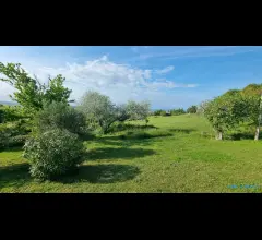Appartamenti in Vendita - Terreno edificabile