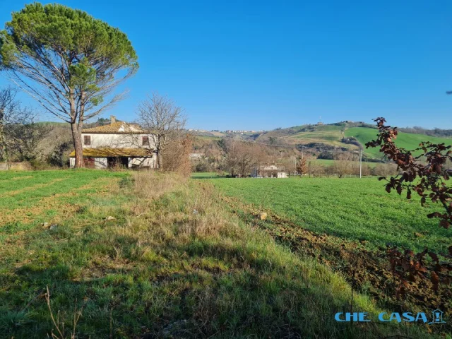 Appartamenti in Vendita - Rustico immerso nel verde in zona panoramica