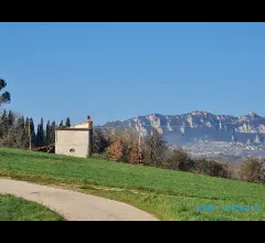 Appartamenti in Vendita - Rustico immerso nel verde in zona panoramica