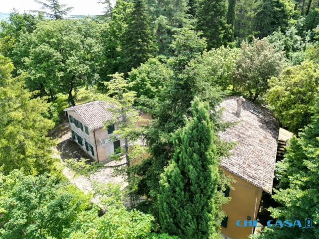 Appartamenti in Vendita - 4983-c
