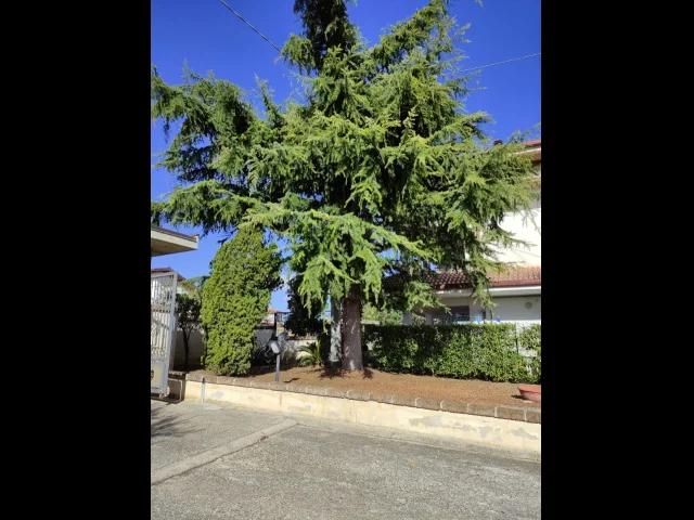 Appartamenti in Vendita - Villa indipendente con ampio giardino e accessori