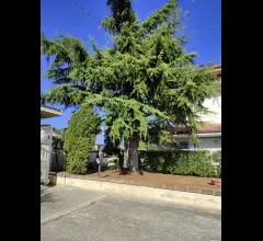 Appartamenti in Vendita - Villa indipendente con ampio giardino e accessori