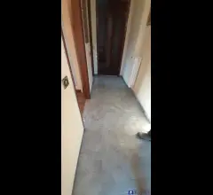 Appartamenti in Vendita - Appartamento con giardino marina di carrara rif 4407