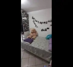 Appartamenti in Vendita - Semindipendente bonascola rif 4276