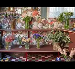 Negozio di fiori rif 4286