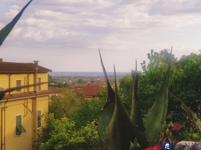 Appartamenti in Vendita - Porzione di casa stabbio rif aa4356