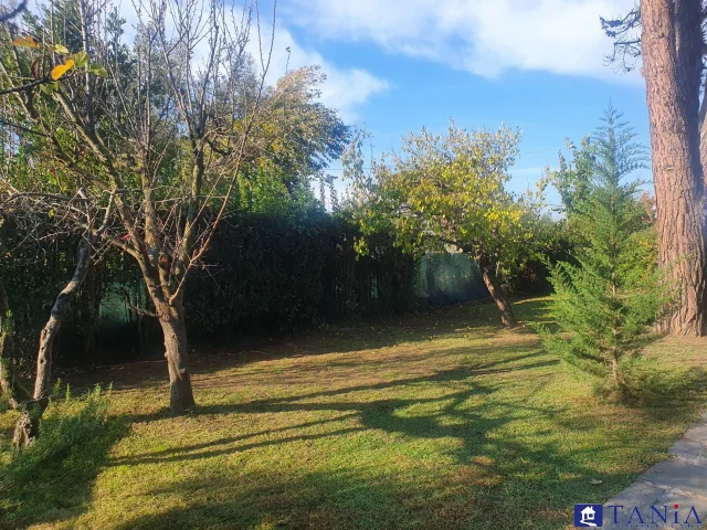 Appartamenti in Vendita - Porzione di bifamiliare marina di carrara rif 4393