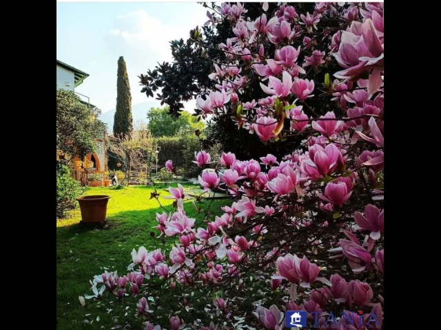 Appartamenti in Vendita - Villa indipendente fossola rif 4459