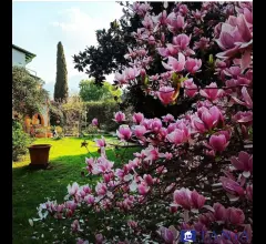 Appartamenti in Vendita - Villa indipendente fossola rif 4459