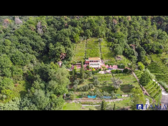 Appartamenti in Vendita - Villa indipendente bonascola rif 4460