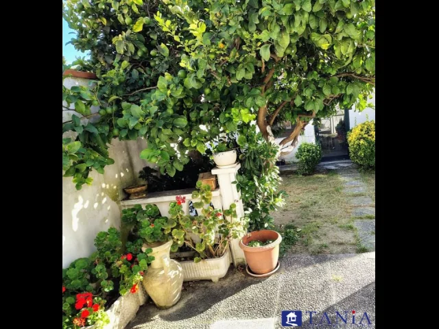 Appartamenti in Vendita - Marina di carrara semindipendente con giardino rif. 4415