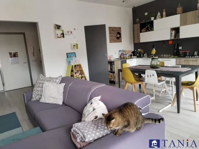 Appartamenti in Vendita - Appartamento avenza rif 4513