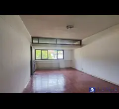 Appartamento loc. stadio rif aa4514