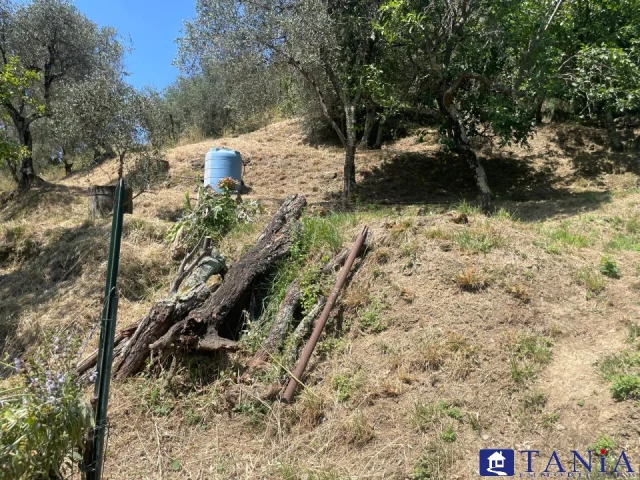 Appartamenti in Vendita - Porzione di casa casano rif 4538