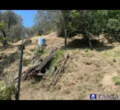 Appartamenti in Vendita - Porzione di casa casano rif 4538