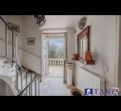 Appartamenti in Vendita - Loft con ingresso indipendente fossola rif 4547