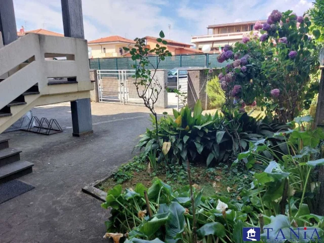 Appartamenti in Vendita - Bilocale con giardino marina di carrara rif aa4550