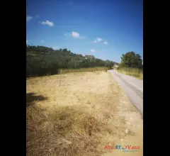 Appartamenti in Vendita - Terreno montevecchio con splendida vista mare