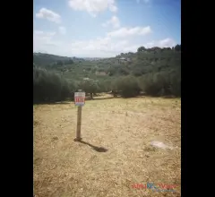 Appartamenti in Vendita - Terreno montevecchio con splendida vista mare