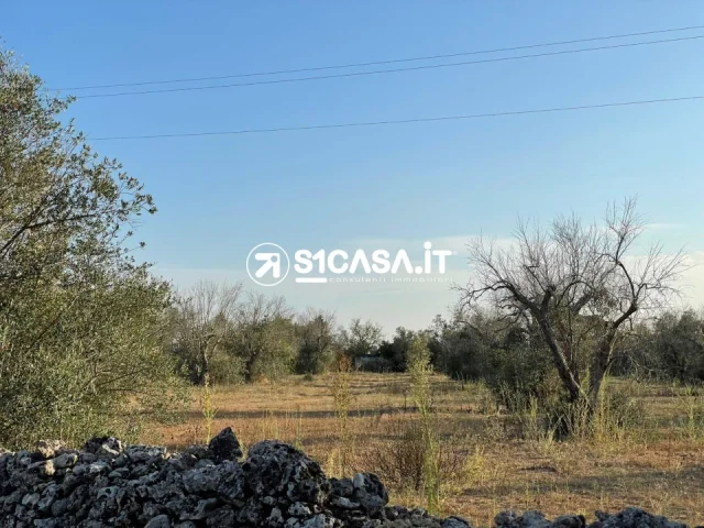 Appartamenti in Vendita - Terreno in vendita in contrada spina