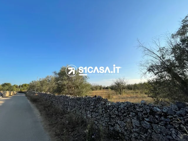 Appartamenti in Vendita - Terreno in vendita in contrada spina