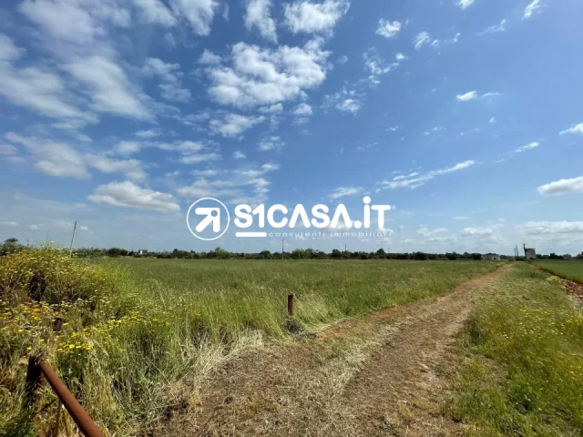 Terreno agricolo in via san giuseppe da copertino