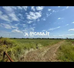 Appartamenti in Vendita - Terreno agricolo in via san giuseppe da copertino