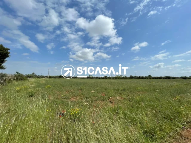 Appartamenti in Vendita - Terreno agricolo in via san giuseppe da copertino