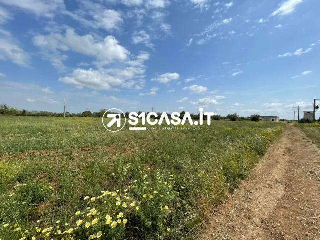 Appartamenti in Vendita - Terreno agricolo in via san giuseppe da copertino