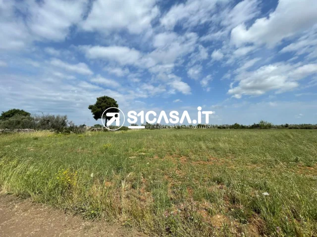 Appartamenti in Vendita - Terreno agricolo in via san giuseppe da copertino