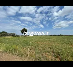 Appartamenti in Vendita - Terreno agricolo in via san giuseppe da copertino