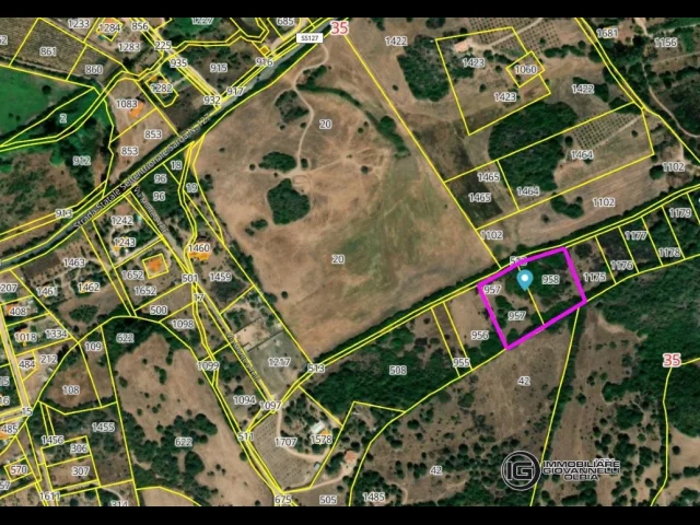 Appartamenti in Vendita - Terreno agricolo di 1 ettaro in vendita