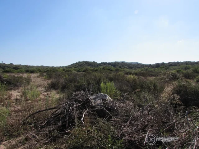 Appartamenti in Vendita - Terreno agricolo di 1 ettaro in vendita