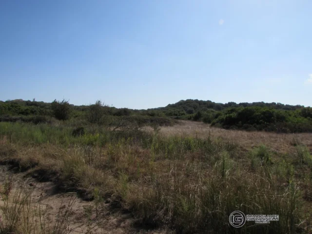 Appartamenti in Vendita - Terreno agricolo di 1 ettaro in vendita