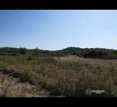 Appartamenti in Vendita - Terreno agricolo di 1 ettaro in vendita