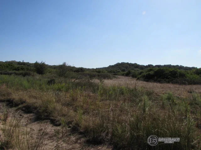 Appartamenti in Vendita - Terreno agricolo di 1 ettaro in vendita