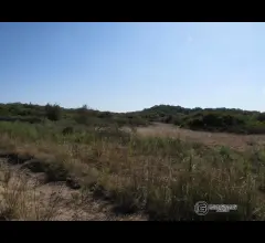 Appartamenti in Vendita - Terreno agricolo di 1 ettaro in vendita