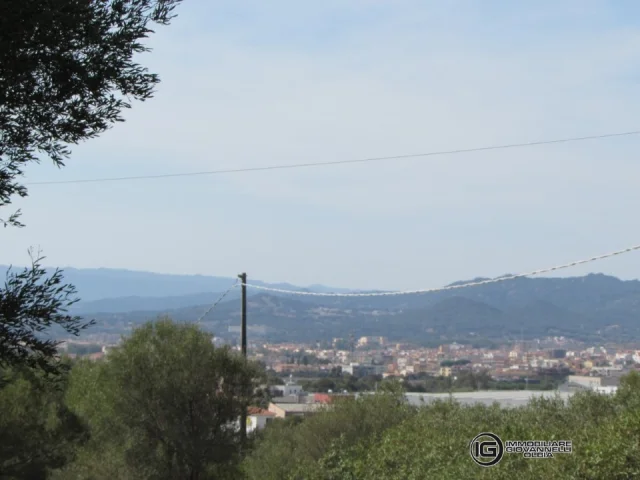 Appartamenti in Vendita - Vendita terreno agricolo