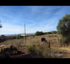 Appartamenti in Vendita - Vendita terreno agricolo