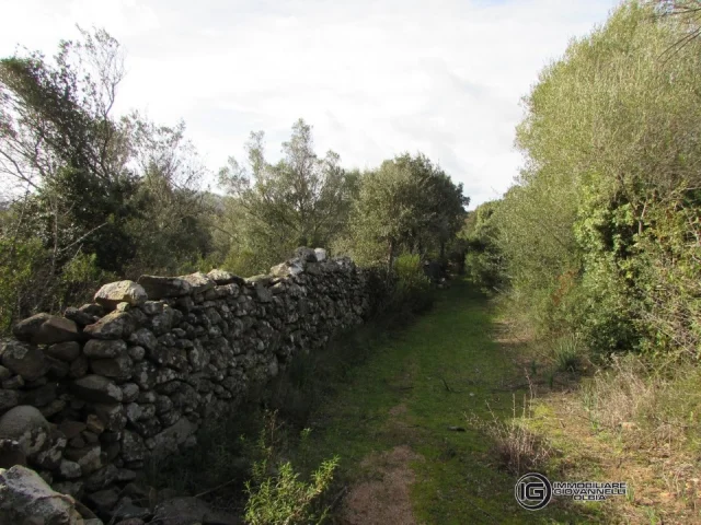 Appartamenti in Vendita - Vendita di 1 ettaro di terreno con tre ruderi