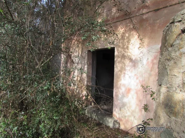 Appartamenti in Vendita - Vendita di 1 ettaro di terreno con tre ruderi