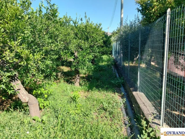 Appartamenti in Vendita - Villagrazia di palermo: terreno mq 1.600